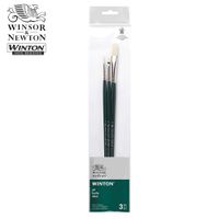 Winsor & Newton Winton Hog Brushes Set of 3