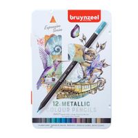 Bruynzeel Expression Colour Pencil Tin of 12 Metallic Shades