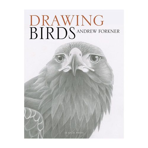 Image of Drawing Birds by Andrew Forkner