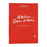 The Caran d’Ache Atelier Workshop Book: Ideas for Artistic Creation