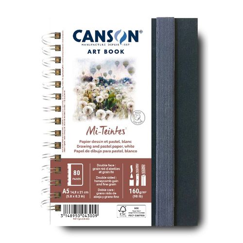 Image of Canson Mi-Tientes Art Book