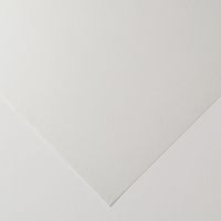 Canson C a Grain Paper