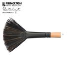 Thumbnail 1 of Princeton Catalyst Polytip Bristle Fan Brush