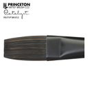 Thumbnail 1 of Princeton Catalyst Polytip Bristle Flat Brush