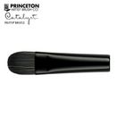 Thumbnail 1 of Princeton Catalyst Polytip Bristle Short Filbert Brush