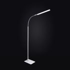 Thumbnail 3 of Daylight UnoPro Floor Lamp