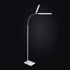 Thumbnail 2 of Daylight DuoPro Floor Lamp