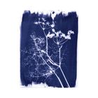 Thumbnail 2 of Jacquard Cyanotype Kit