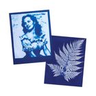 Thumbnail 5 of Jacquard Cyanotype Kit