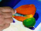 Thumbnail 4 of Golden Open Acrylic