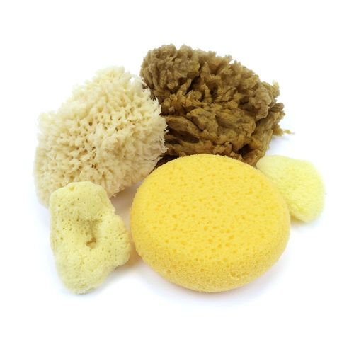 Image of Sponge Value Pack