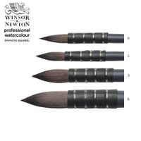 Winsor & Newton Professional Watercolour Synthetic Squirrel Quill Wash Brush