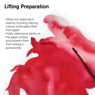 Thumbnail 5 of Winsor & Newton Lifting Preparation