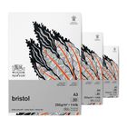 Thumbnail 1 of Winsor & Newton Bristol Board Paper Pads