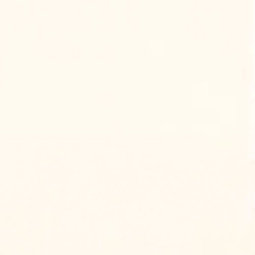 Caran d’Ache Neocolor II Aquarelle Watersoluble Wax Pastels White
