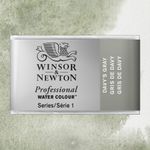 Winsor & Newton Professional Watercolours Whole Pan Davy's Gray preview