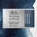 Winsor & Newton Professional Watercolours Whole Pan Payne's Gray preview