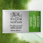 Winsor & Newton Professional Watercolours Whole Pan Permanent Sap Green preview