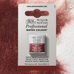 Winsor & Newton Professional Watercolours Half Pan Caput Mortuum Violet preview