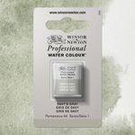 Winsor & Newton Professional Watercolours Half Pan Davy's Gray preview