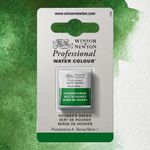 Winsor & Newton Professional Watercolours Half Pan Hooker's Green preview