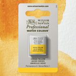 Winsor & Newton Professional Watercolours Half Pan Indian Yellow preview