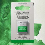 Winsor & Newton Professional Watercolours Half Pan NEW Cinnabar Green preview