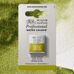 Winsor & Newton Professional Watercolours Half Pan Olive Green preview