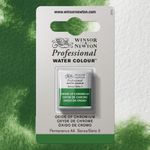 Winsor & Newton Professional Watercolours Half Pan Oxide of Chromium preview