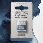 Winsor & Newton Professional Watercolours Half Pan Payne's Gray preview