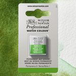 Winsor & Newton Professional Watercolours Half Pan Permanent Sap Green preview