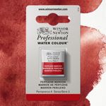 Winsor & Newton Professional Watercolours Half Pan Perylene Maroon preview
