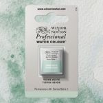 Winsor & Newton Professional Watercolours Half Pan Terre Verte preview