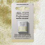 Winsor & Newton Professional Watercolours Half Pan Terre Verte (Yellow Shade) preview