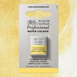 Winsor & Newton Professional Watercolours Half Pan Turners Yellow preview