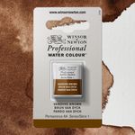 Winsor & Newton Professional Watercolours Half Pan Vandyke Brown preview