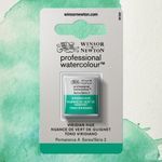 Winsor & Newton Professional Watercolours Half Pan NEW Viridian Hue preview