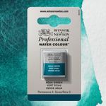 Winsor & Newton Professional Watercolours Half Pan Aqua Green preview