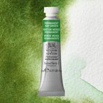 Winsor & Newton Professional Watercolours 5ml Tube Permanent Sap Green preview