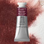 Winsor & Newton Professional Watercolours 14ml Tube Caput Mortuum Violet preview