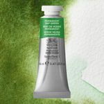 Winsor & Newton Professional Watercolours 14ml Tube Permanent Sap Green preview