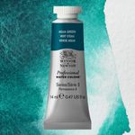 Winsor & Newton Professional Watercolours 14ml Tube Aqua Green preview