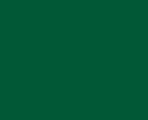Jacquard Pinata Alcohol Inks Rainforest Green