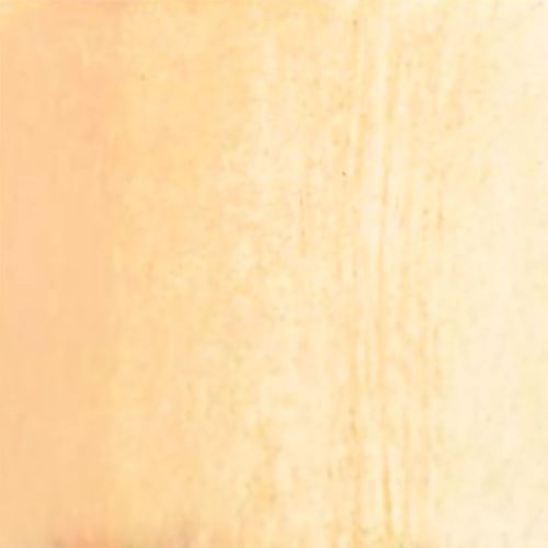 Caran d’Ache Neocolor II Aquarelle Watersoluble Wax Pastels Flesh