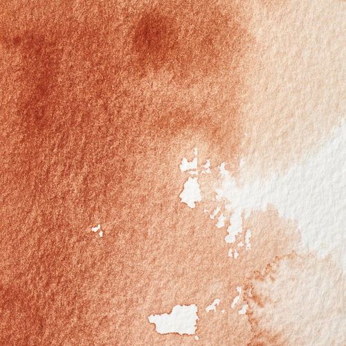 Winsor & Newton Professional Watercolours 37ml Tube Burnt Sienna