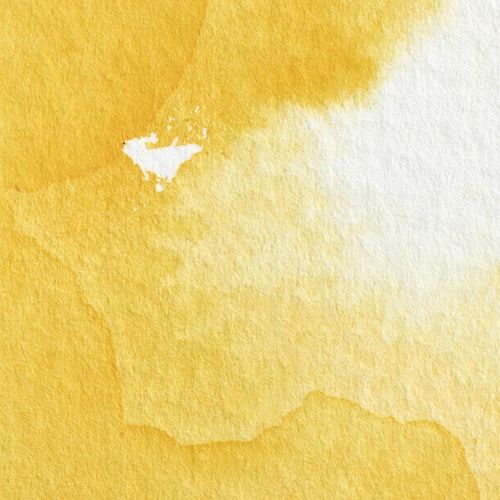 Winsor & Newton Professional Watercolours Half Pan Cadmium Yellow