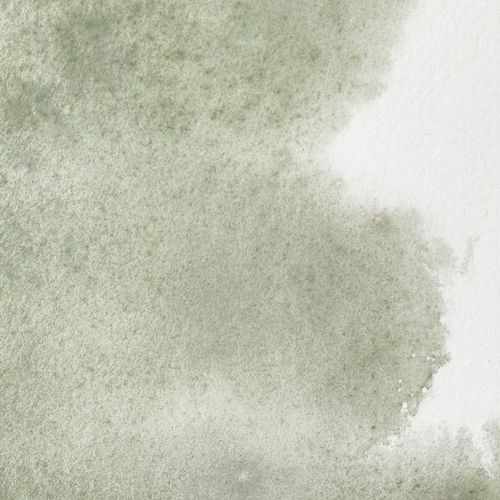 Winsor & Newton Professional Watercolours Half Pan Davy's Gray