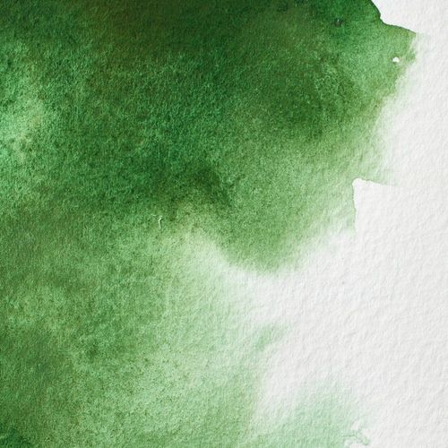 Winsor & Newton Professional Watercolours Half Pan Hooker's Green