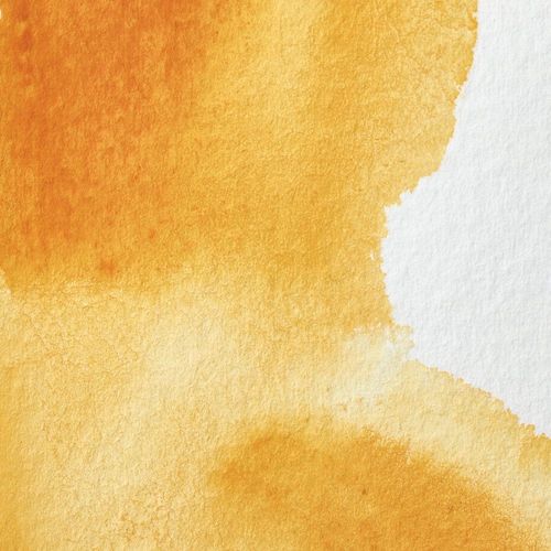 Winsor & Newton Professional Watercolours 5ml Tube Indian Yellow