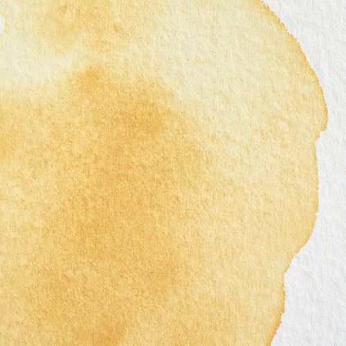 Winsor & Newton Professional Watercolours Whole Pan Naples Yellow